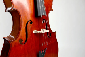 Doublebass